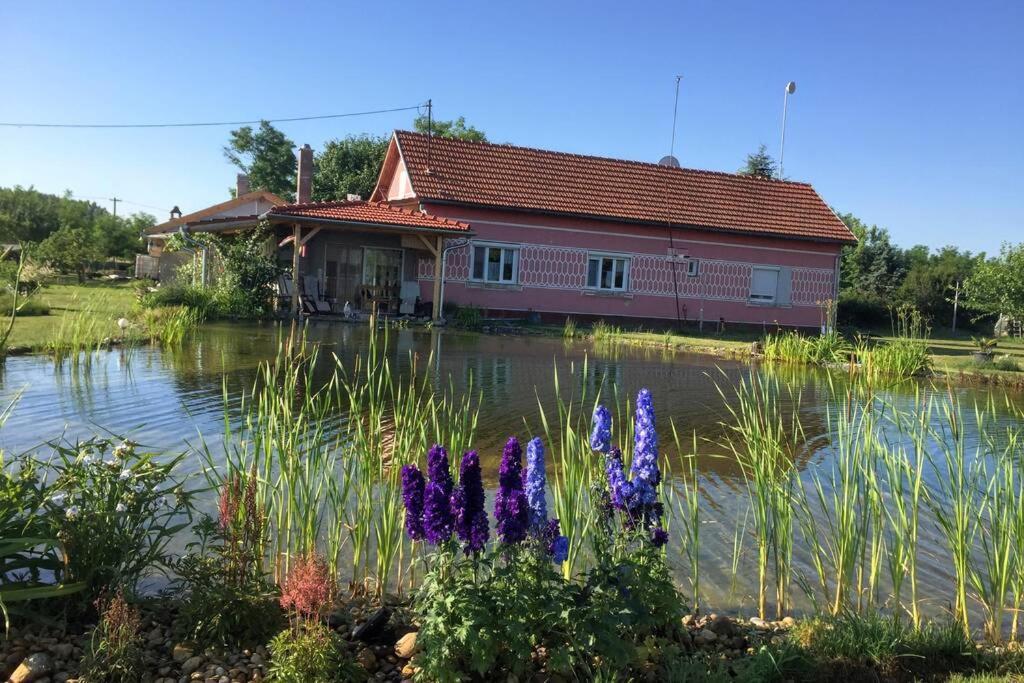 Apartmán Tanya Anna Csengele Exteriér fotografie